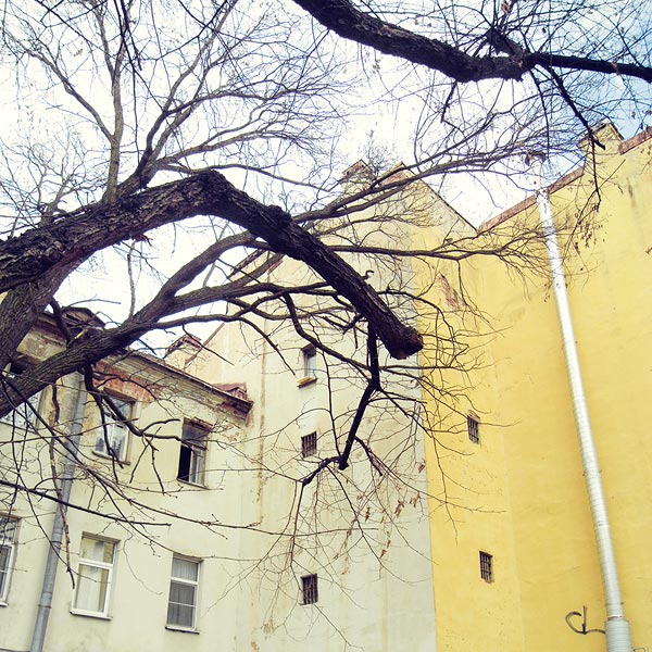 Холодное утро