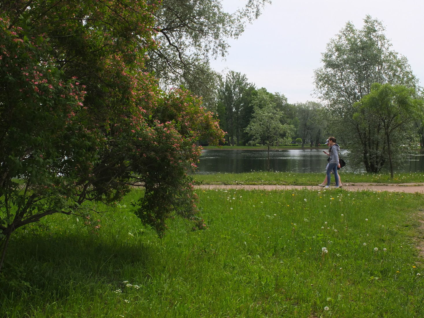 Пара