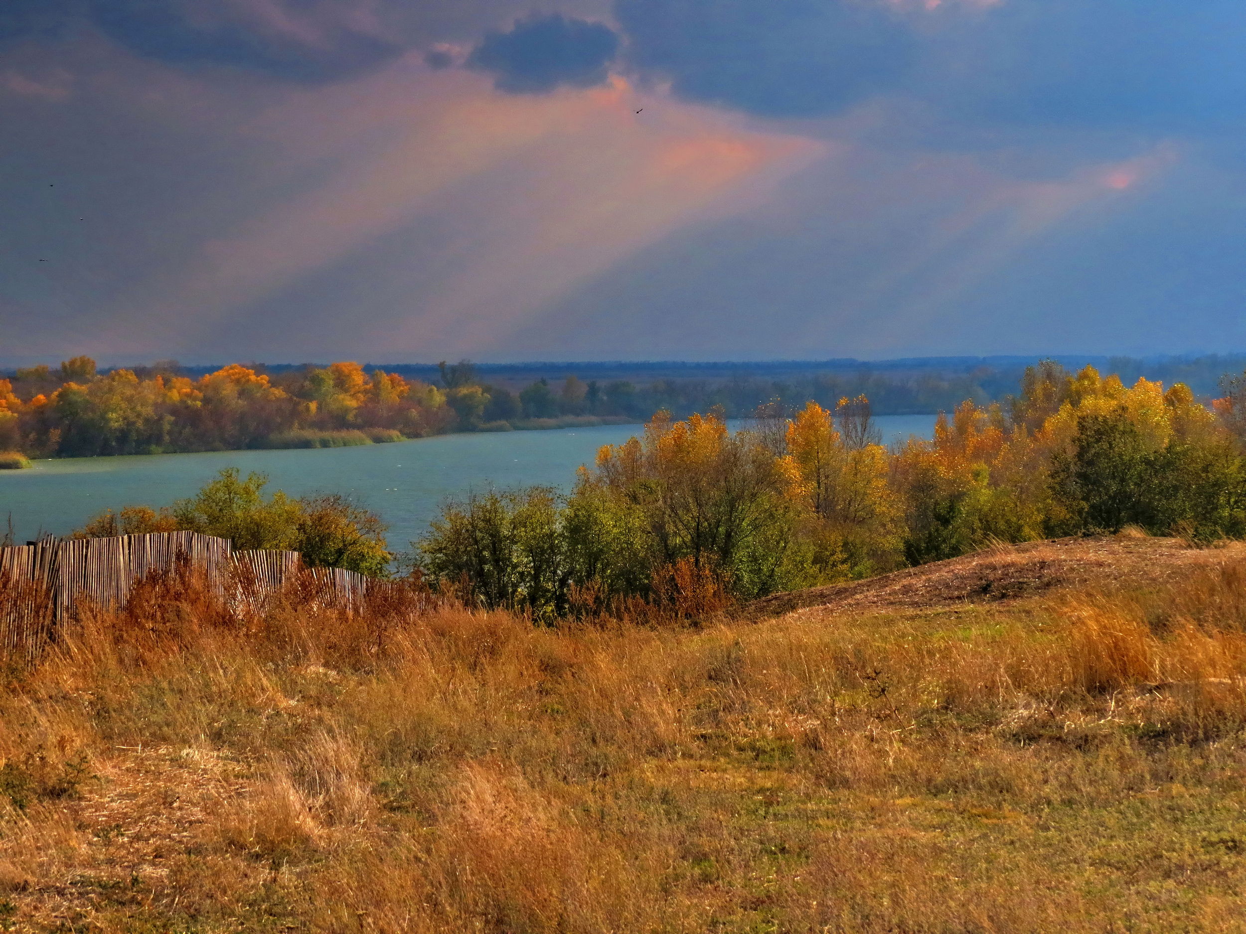 Донской край. Донские просторы Ростовской области. Природа Донского края Волгодонск. Природа Донского края Новочеркасска. Пейзаж Донского края.