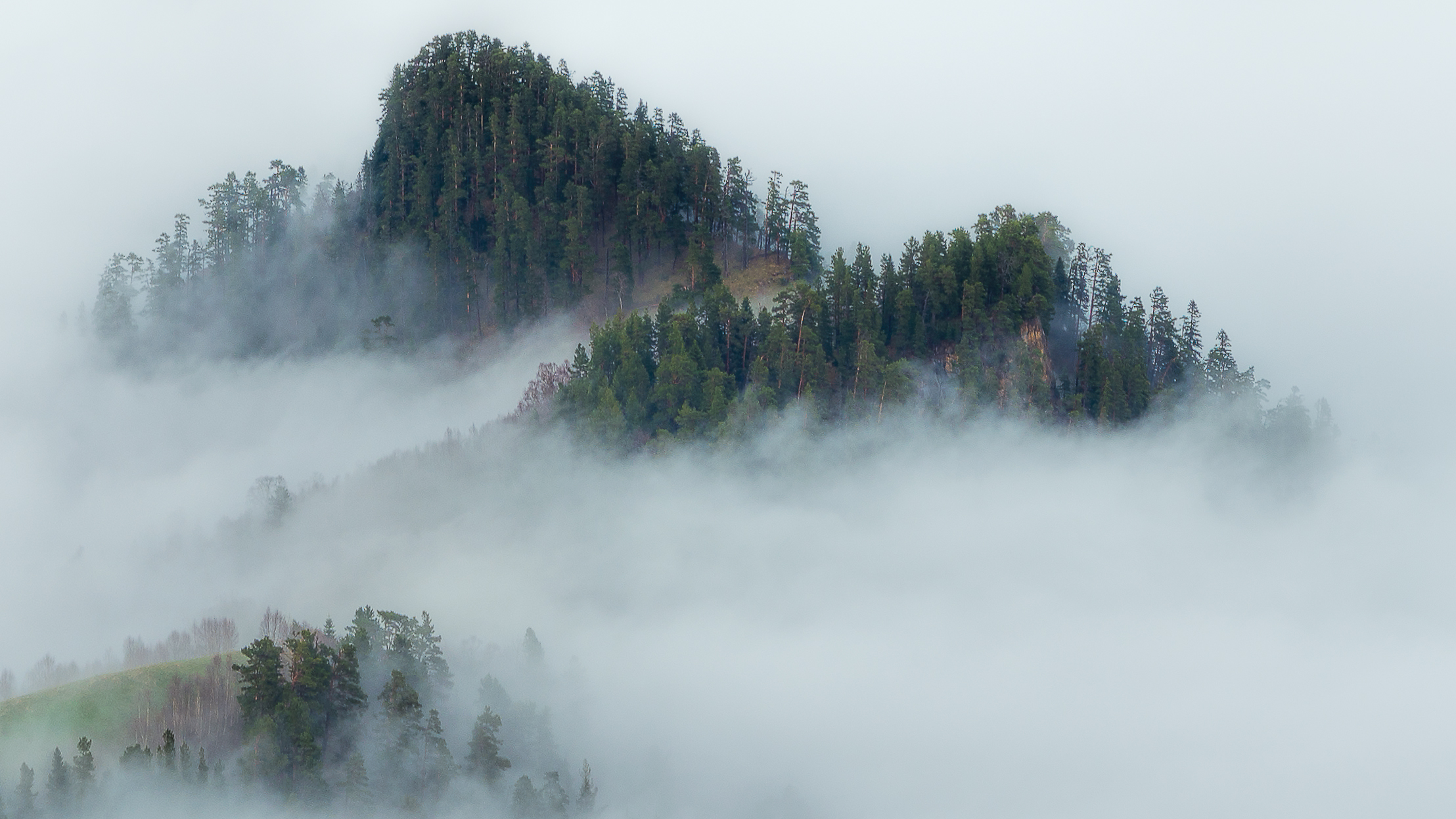 Условиях сильного тумана. Туманный пейзаж. Самый сильный туман. Горы в тумане. Склон в тумане.