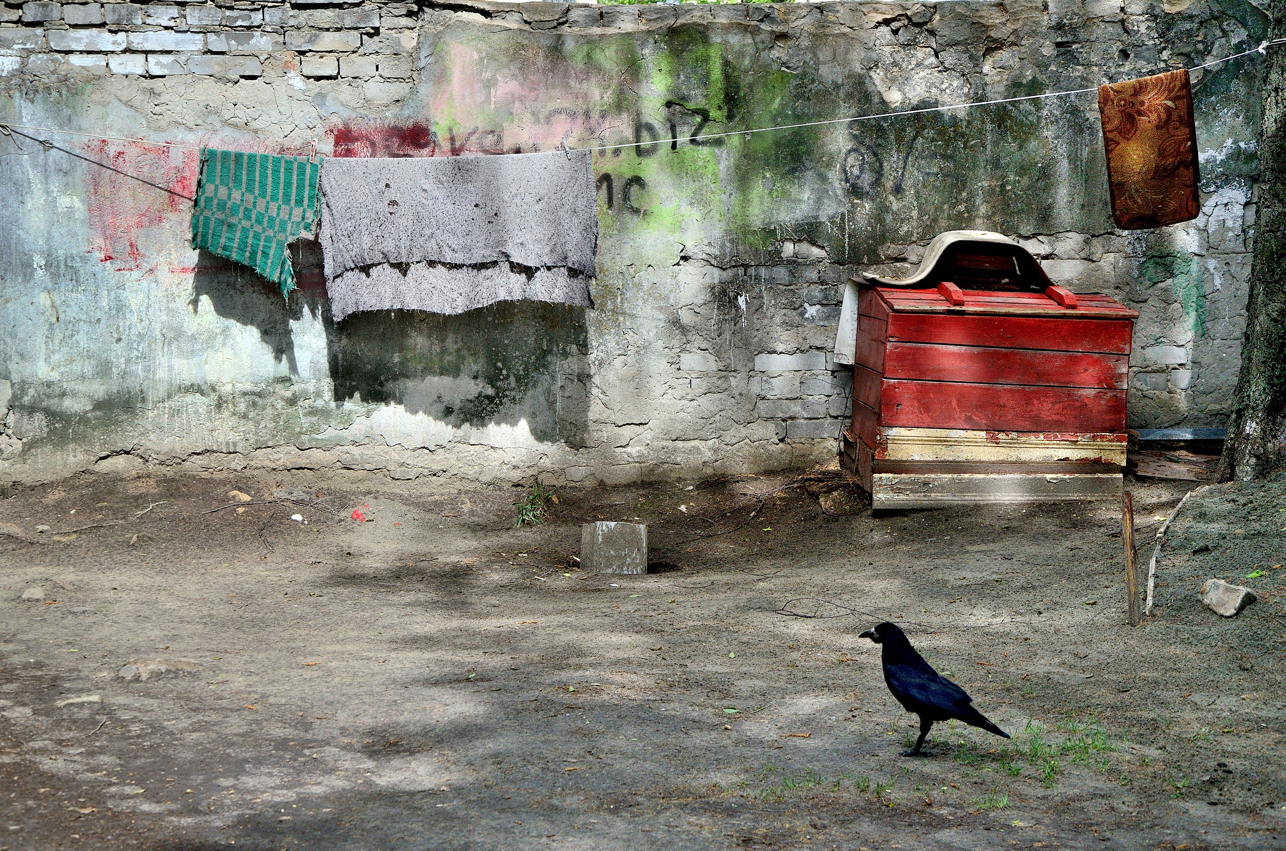 городской фрагмент