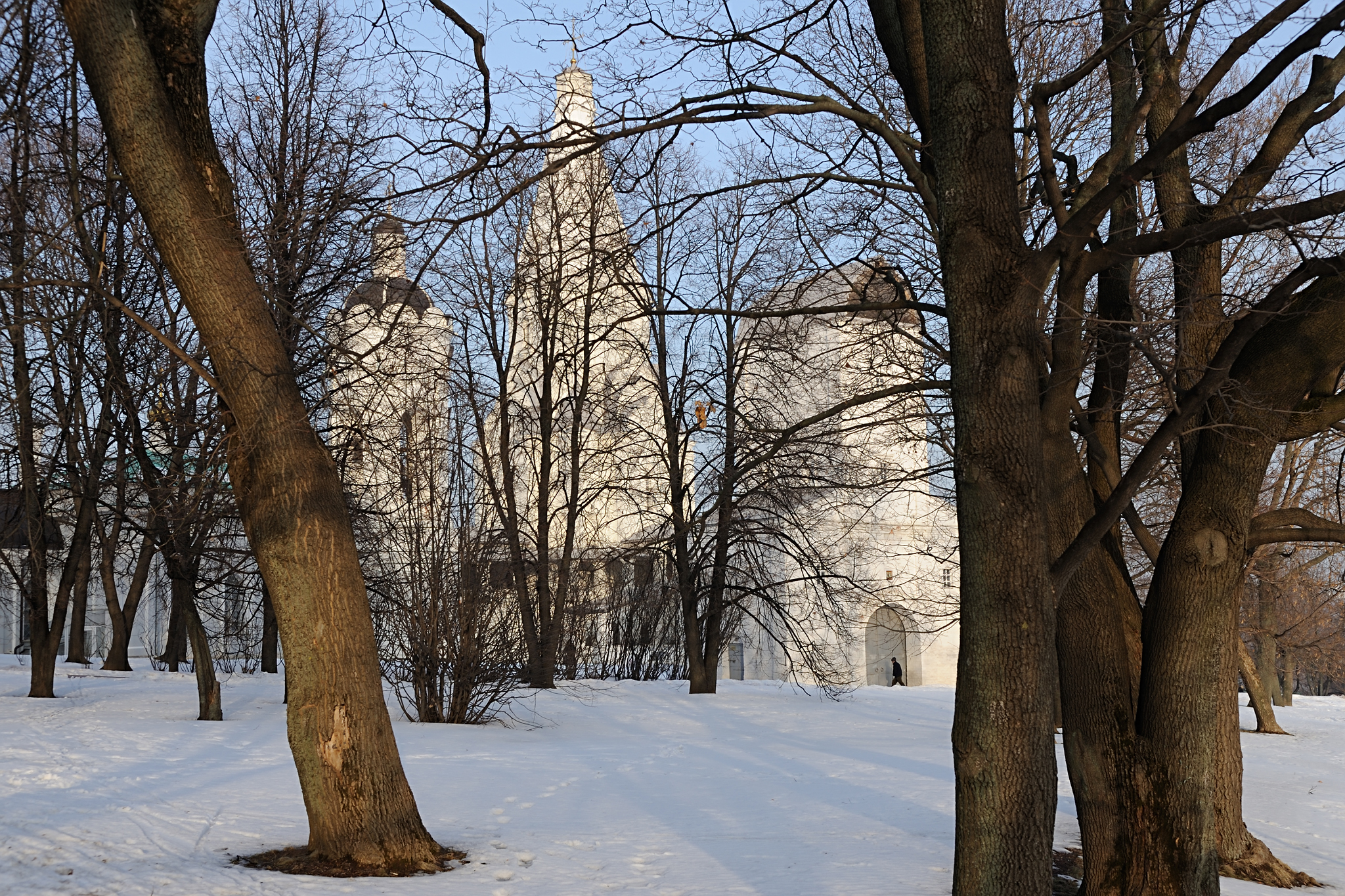 Сегодня в коломенском парке. Усадьба Коломенское зимой. Парк Коломенское зимой. Коломенский парк зима. Коломенский парк зимой.