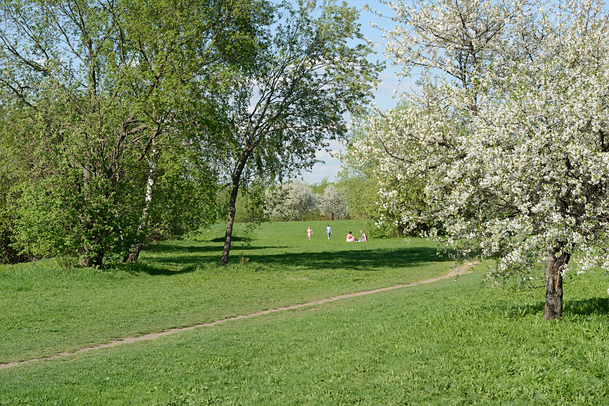 Коломна весной фото