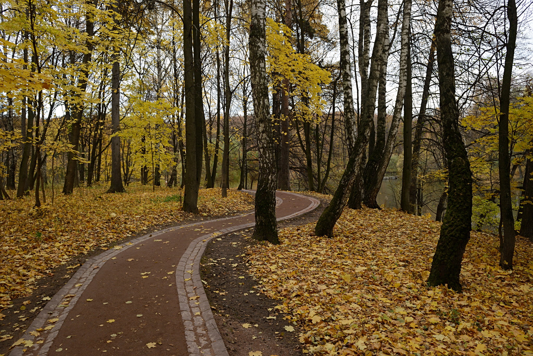 Осенний парк Царицыно
