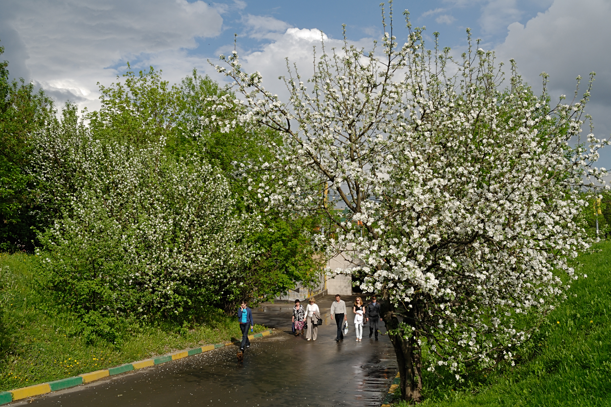 Коломна весной фото