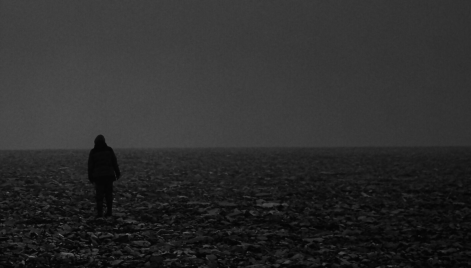 Nonstop Photos | Владимир Власов / Полигон