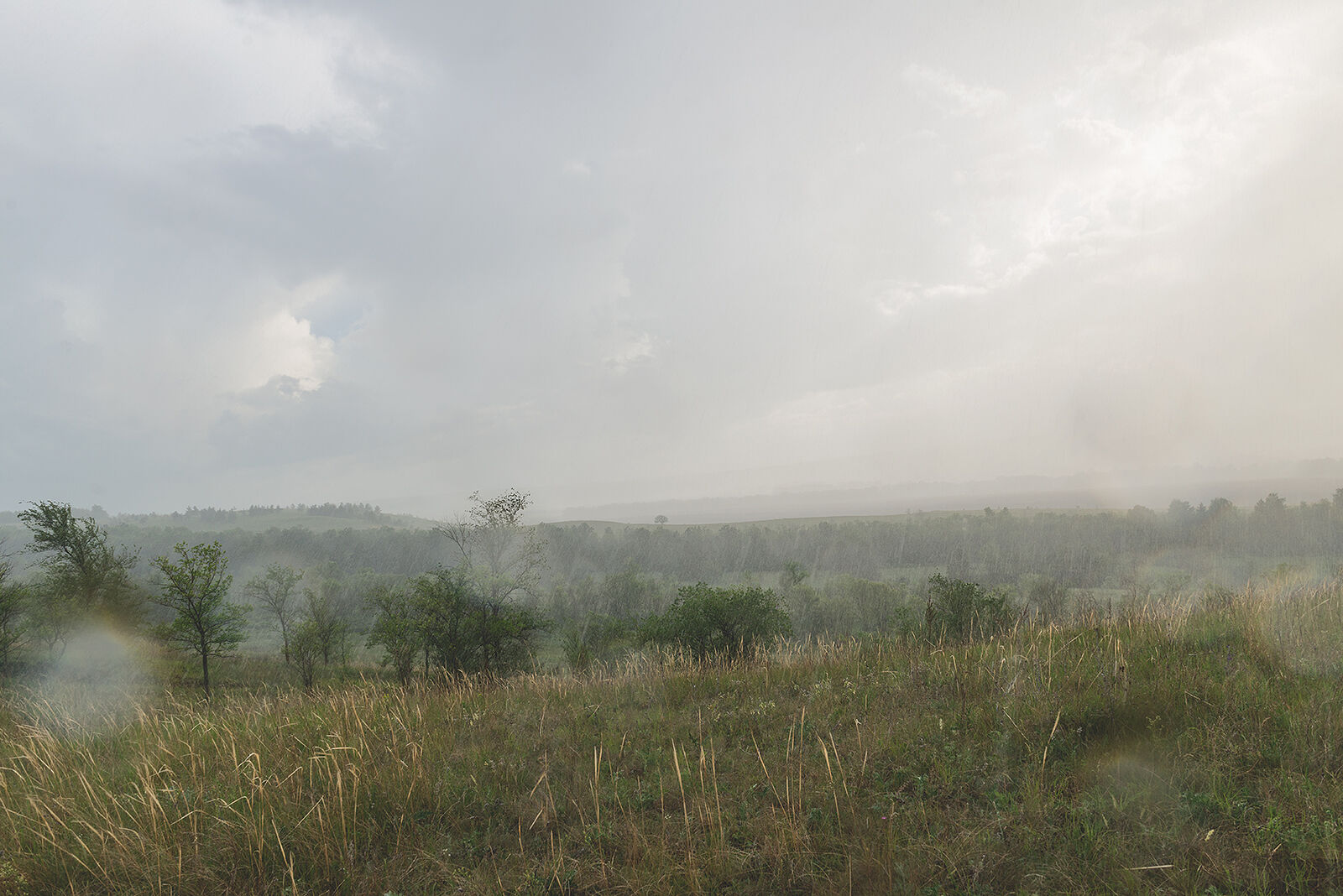 Летняя гроза. Фото в парке дождь летний дождь. Ливень в поле. Дожди летом 2023. Дождь и солнце.