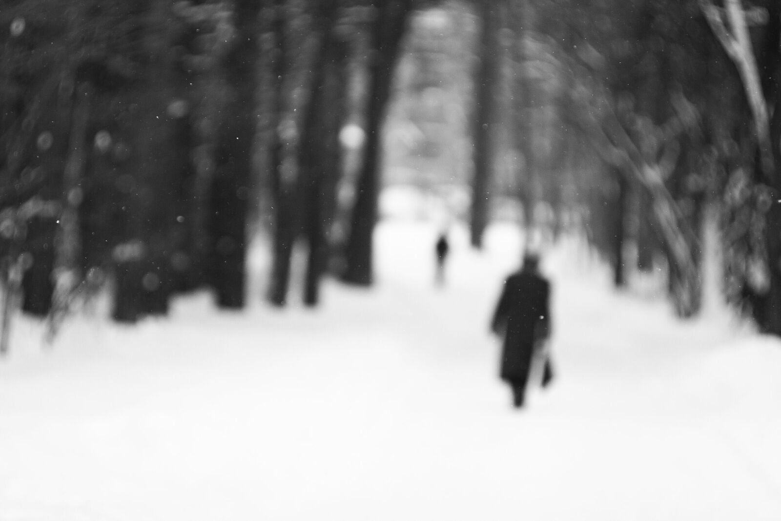 Виктор дорин петлюра. Дружелюбная ворожея. Ворожея зендер скроуз. Золотится серенький дымок. Ворожея фотосессия.