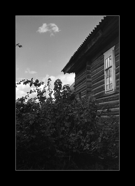 Nonstop Photos | Ирина Крылова / bn