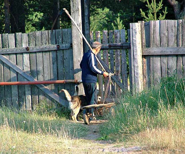 Сельский серий. Деревенская хроника. Деревенские хроники. Сельская хроника. Деревенские хроники фото.