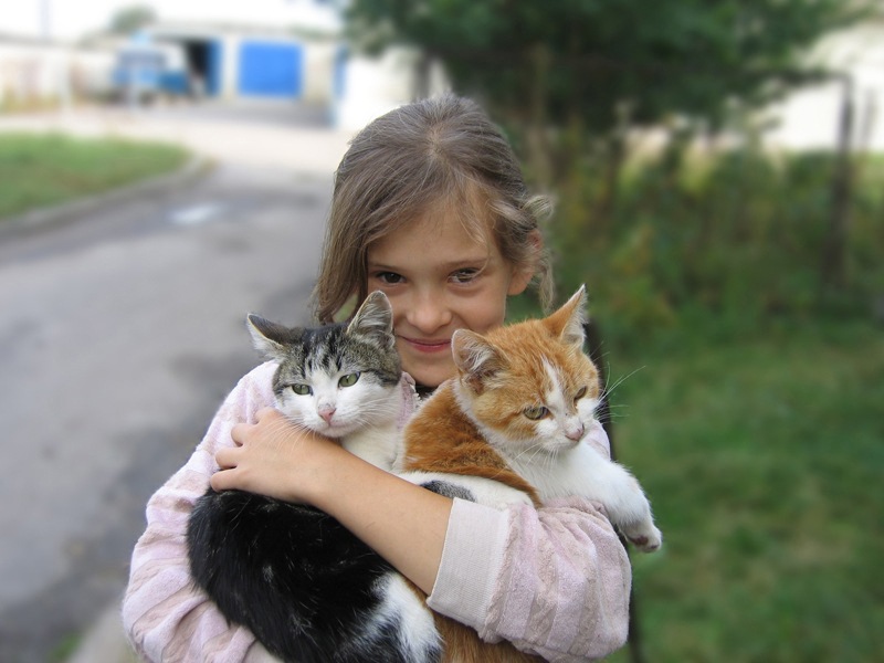 Человек и кошка вместе. Девушка с двумя котами. Фотосессия с котом. Девочка с двумя котами.