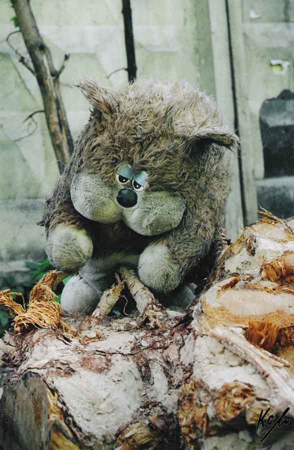 Nonstop Photos | Ксения Аристова / Покинутый...