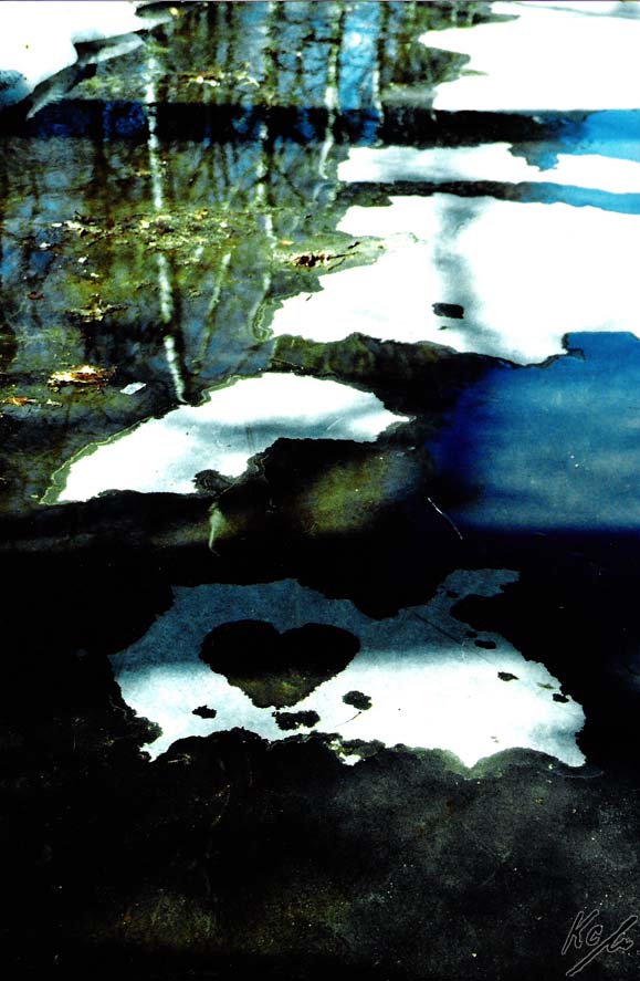 Nonstop Photos | Ксения Аристова / Весна в Сокольниках