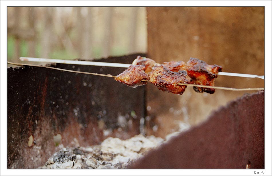 шашлык. оставшийся шашлык. оставшийся шашлык. оставшийся шашлык. остатки шашлыка.