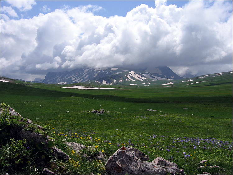 Кавказский заповедник плато Лагонаки