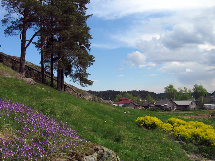 Куркиеки карелия фото