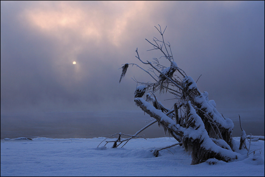 Siberia lighting. Творчество Алтайского фотохудожника Александра Камакаева.