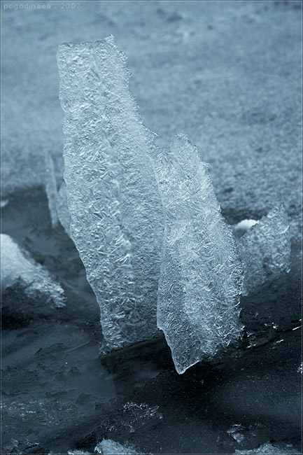 Ледовая 4. Под тонким льдом Джилл хайнерт. Тонкий лед фотографии.