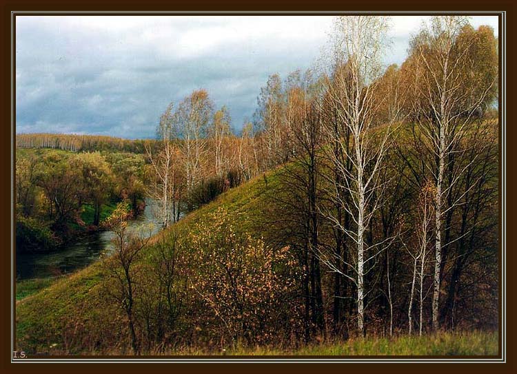 Косогор. Косогор Вики. Косогоры пейзаж. Лесной Косогор. Косогор картинка.