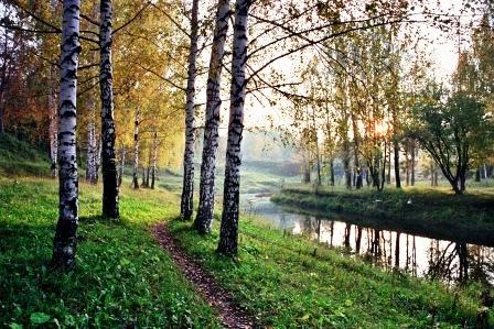 Норское ярославль фото