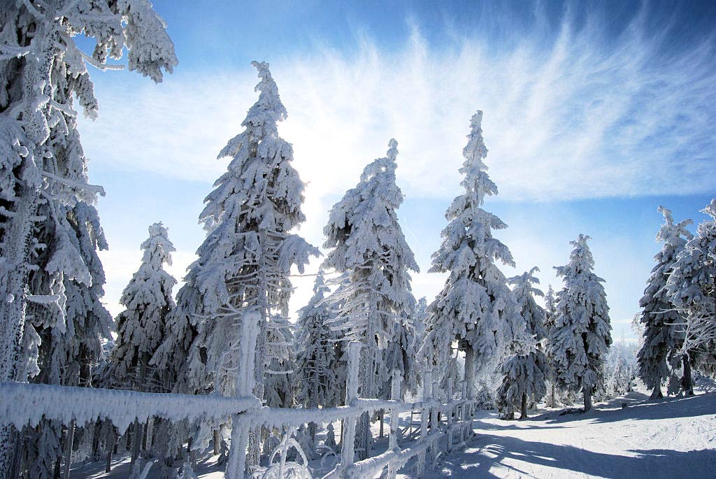 и я зимняя. снег крепкий. снег крепкий. снег крепкий. белый дом в снегу.