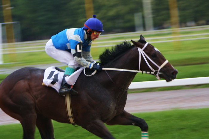 Скачок 1.6. Обнинск конные спроты. 15.08.2007 Лошади. Фото g7 на конях. Russian Horse Racing.