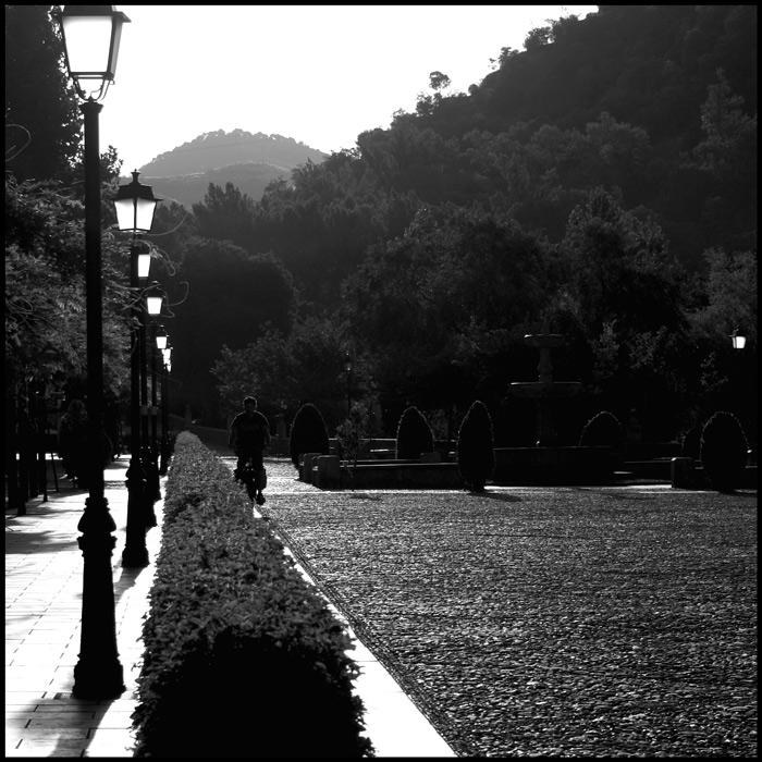 Nonstop Photos | Андрей Гончаров / солнечное утро