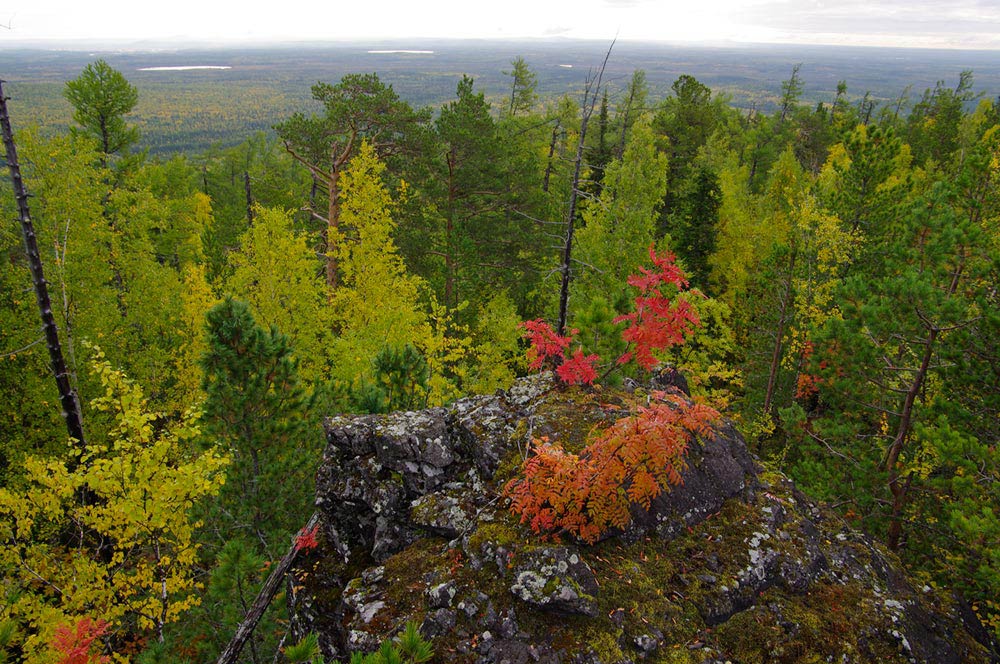 Северный урал фото природы