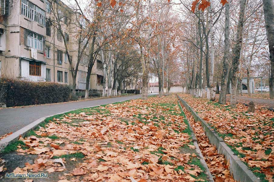 Осенний двор. Пятиэтажки осенью. Дворы пятиэтажек осень. Ташкент осенние улицы. Ноябрь на дворе.