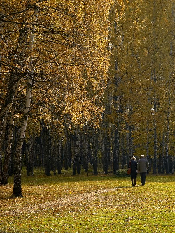 Осень жизни. Осенняя жизнь. Осень жизни картинки. Повседневная осень в России.