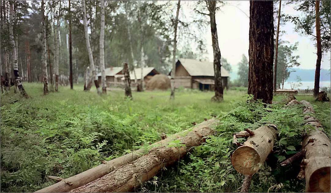 Фото лесника для детей картинки