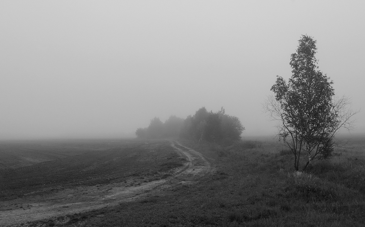 Серая фотография. Серый день. Серое хмурое утро. Пасмурное серое утро. Пасмурная осень картинки.