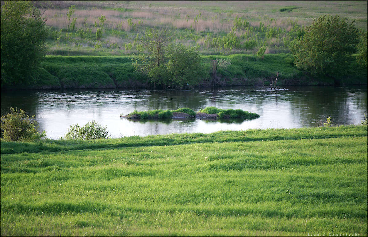 Островок луга. Луг воронеж. Островок луга. Летняя природа. Лесное озеро ступино.