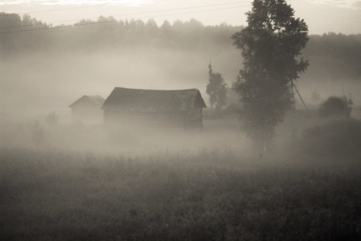 Село в тумане