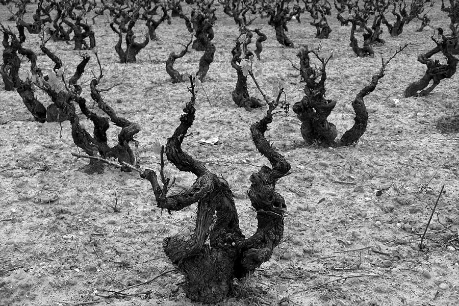 Nonstop Photos | Борис Гончаров / Аэробика