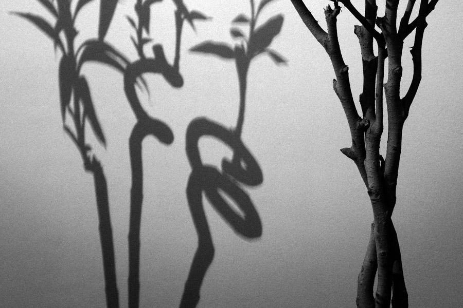 Nonstop Photos | Алексей Скороходов / Игры теней