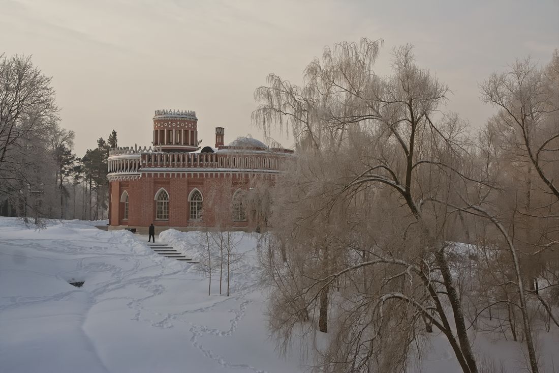 Усадьба Царицыно зима