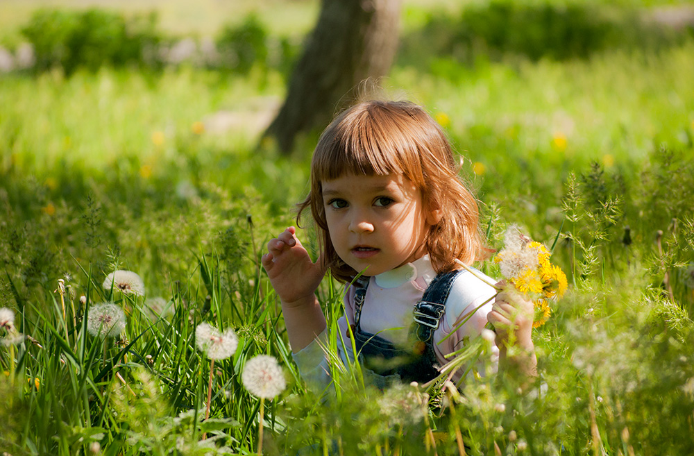 Дети цветов 1. Профессиональные фотографы цветы. Первые цветы для детей. 1 Июня цветы. Фотограф Евгения цветочек.