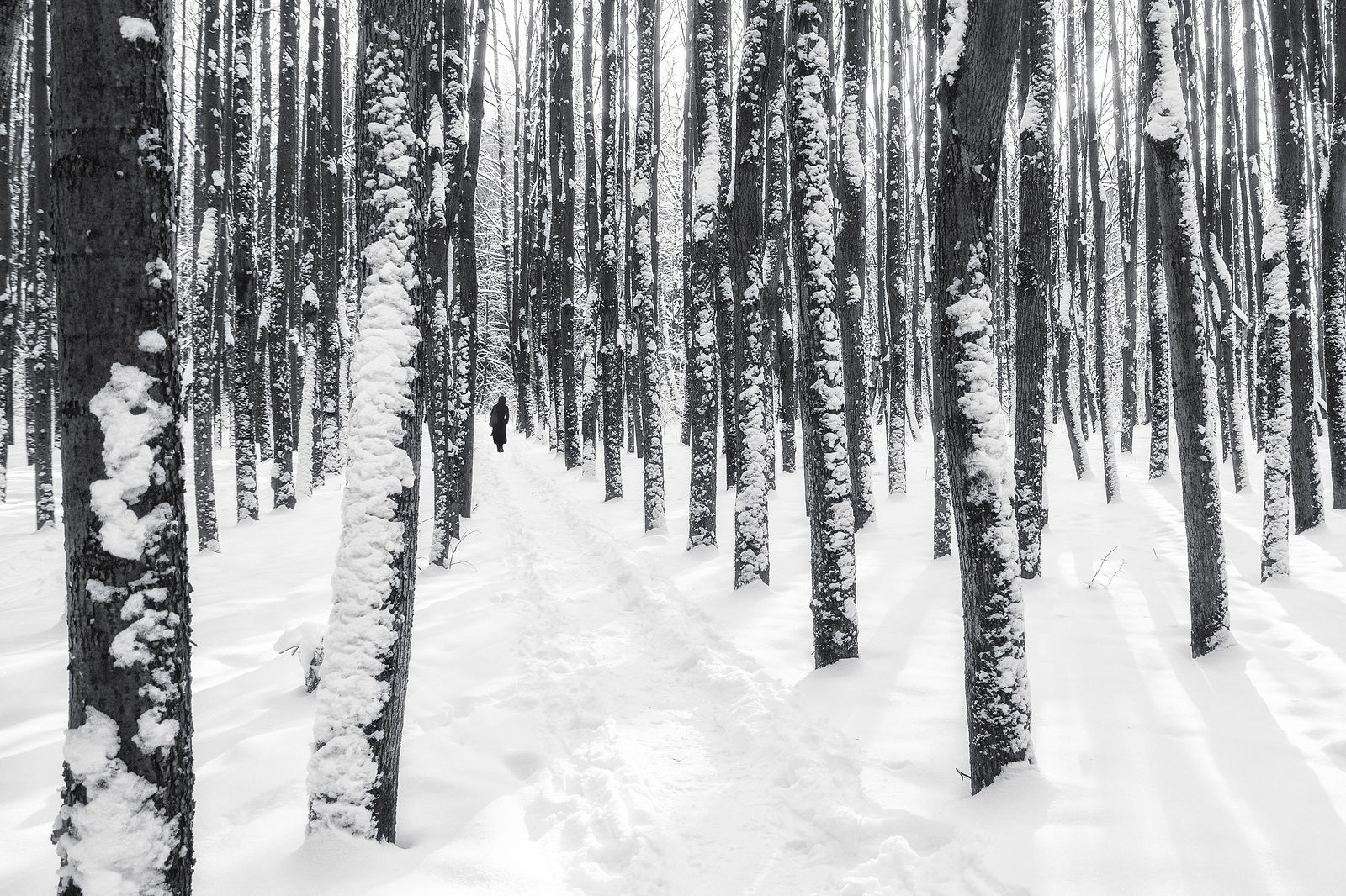 Nonstop Photos | Антон Романович / les