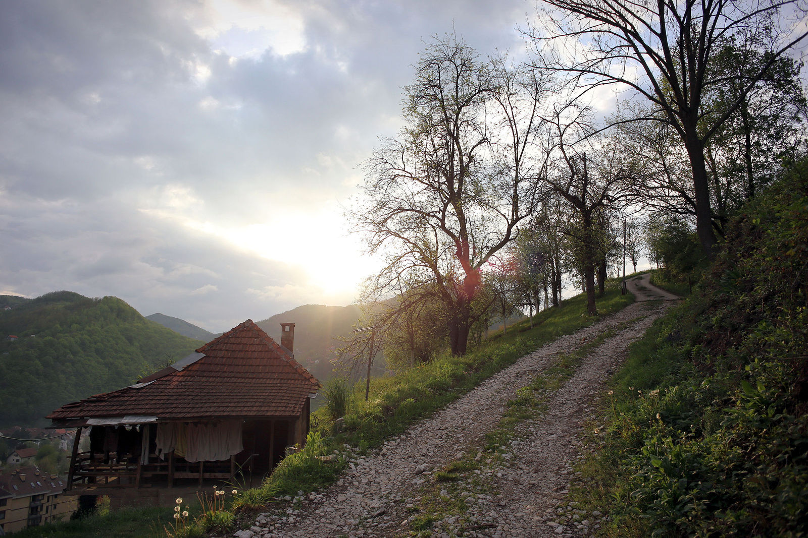 должна сербия картинки и фото единственный