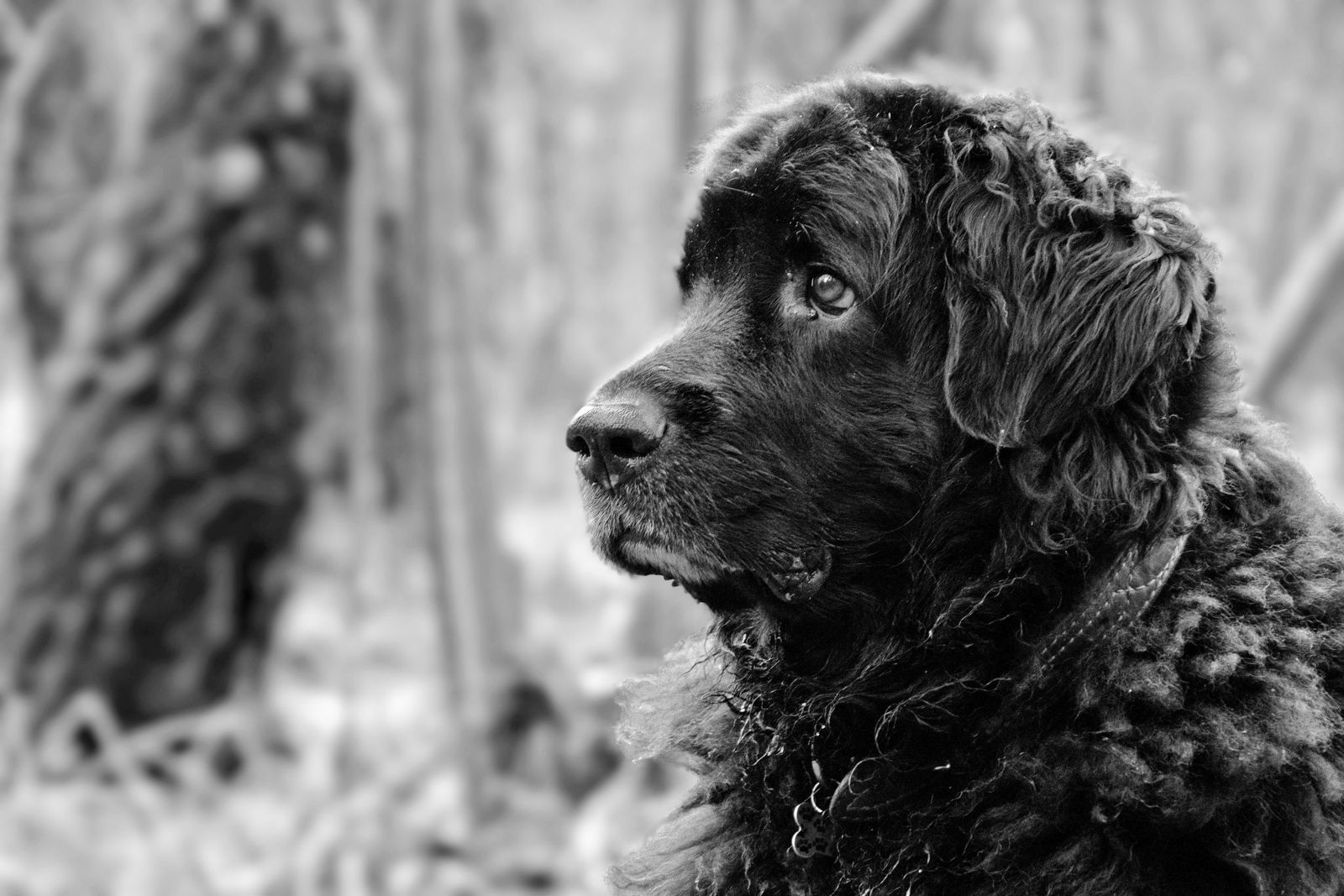 Nonstop Photos | Антон Романович / Портрет