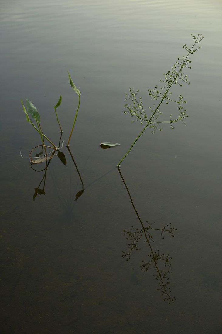 Reflection 3