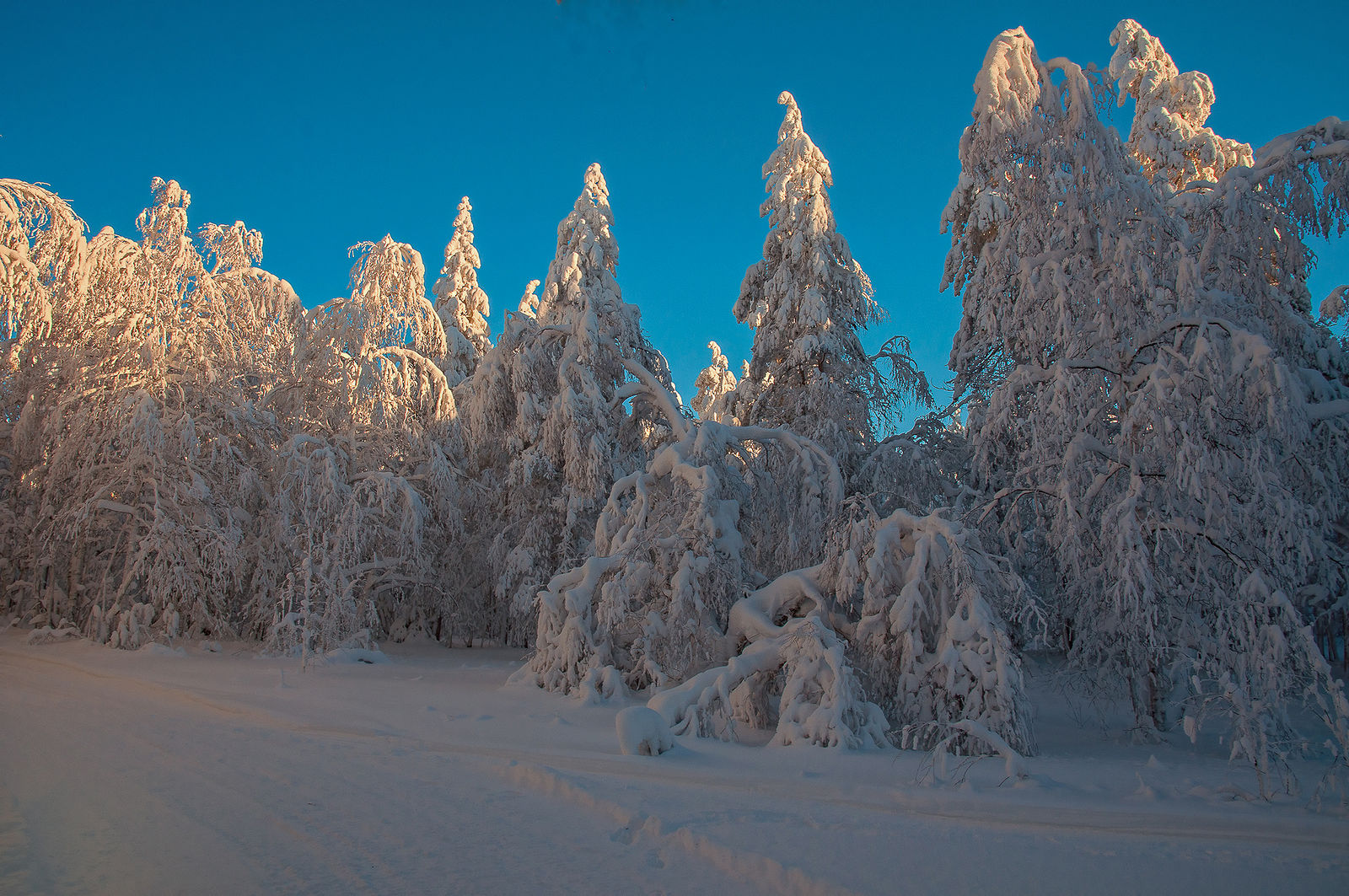 Снежное фото. Снежное. Снежные кружева. Снежные фото. Зимнее кружево фото.