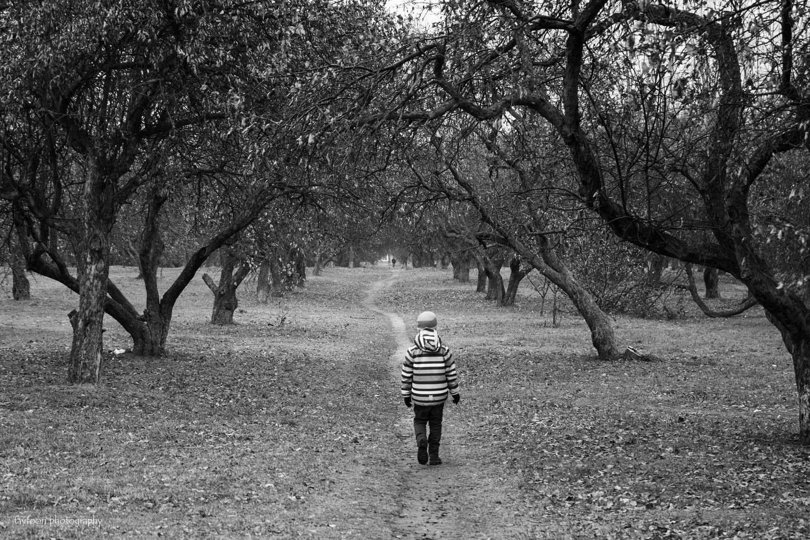 Nonstop Photos | Антон Романович