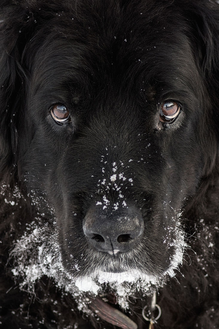 Nonstop Photos | Антон Романович / Взгляд