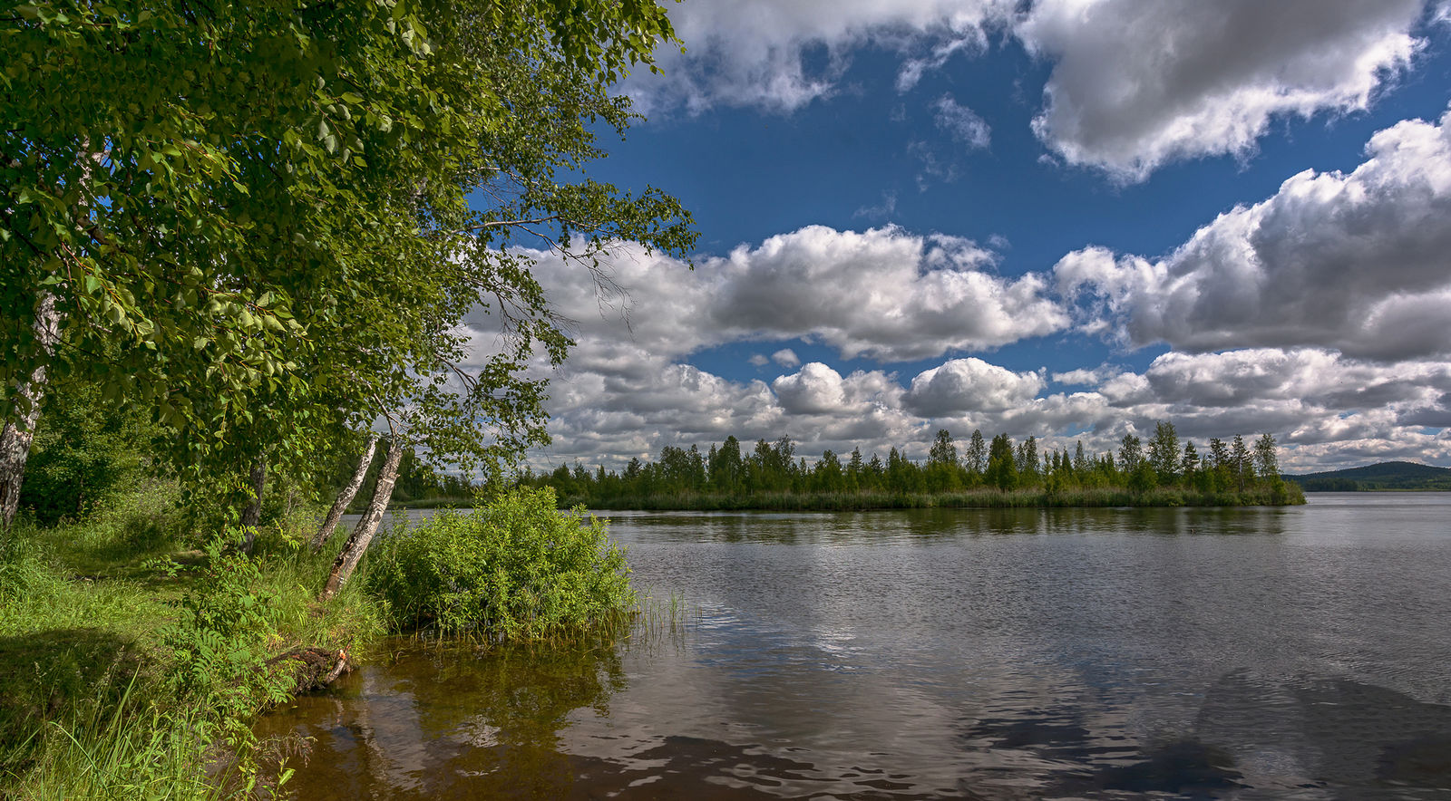 Летний пейзаж Ульяновск