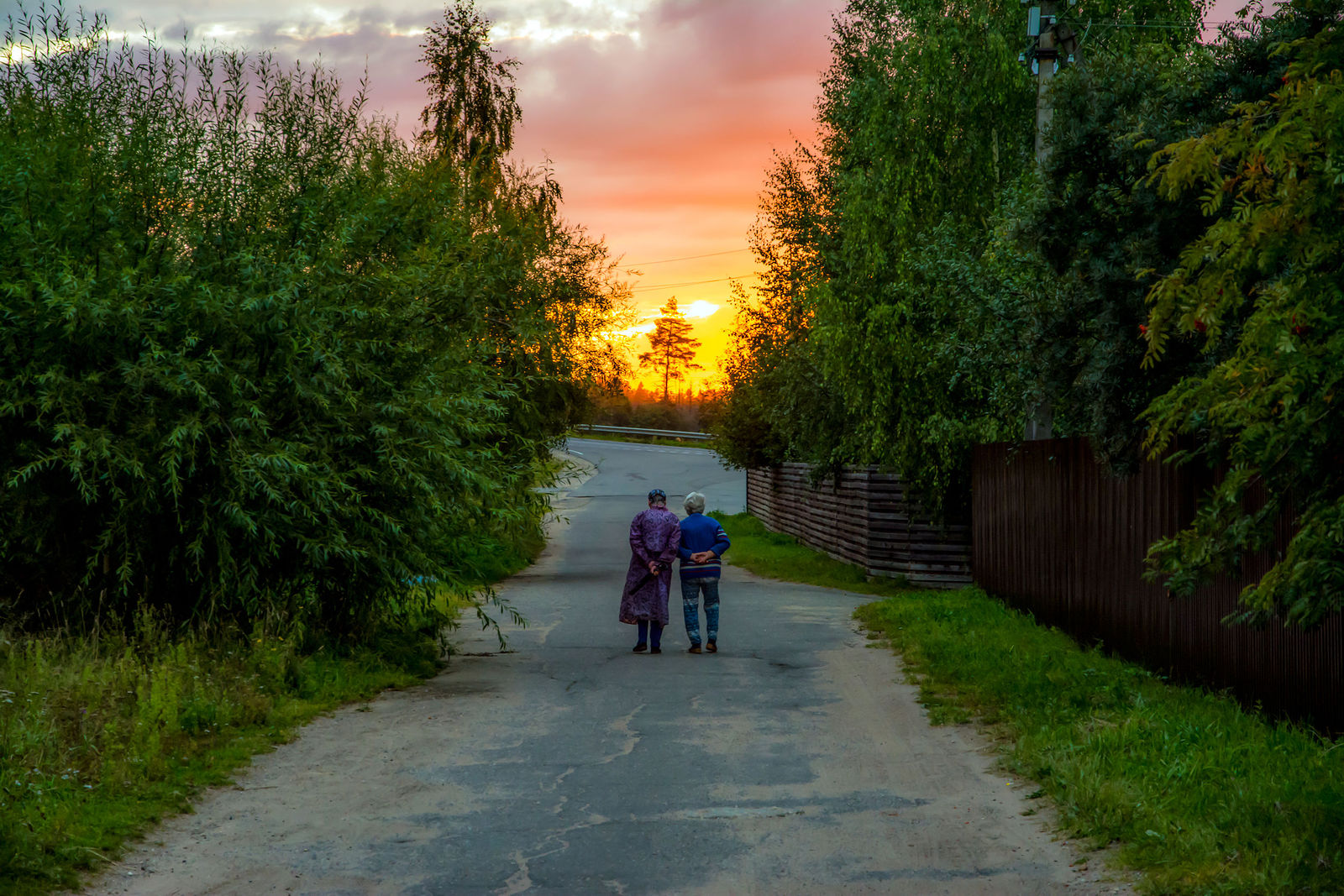 Фото уходящего лета. Фотографы Москвы природа. Сидоров Сергей Москва фотохудожник.