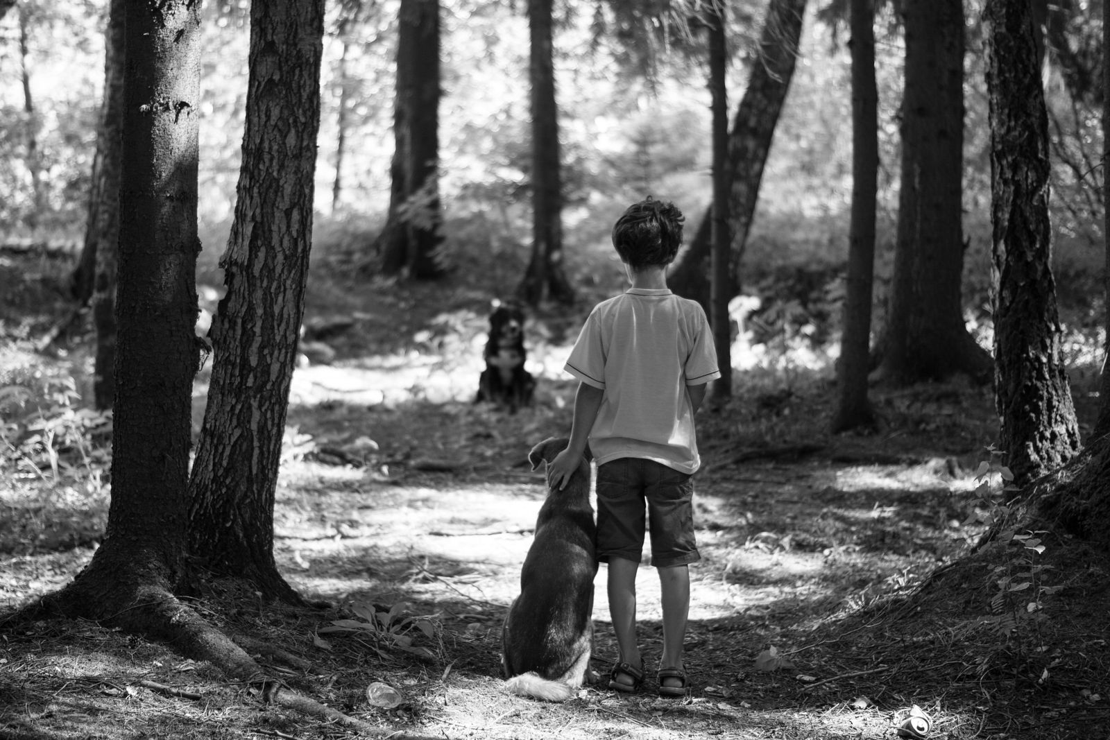 Nonstop Photos | Антон Романович / встреча