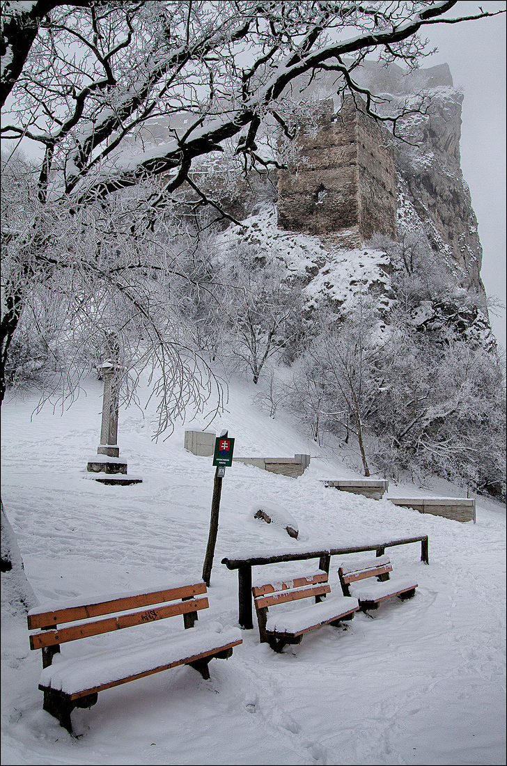 старый парк зимой