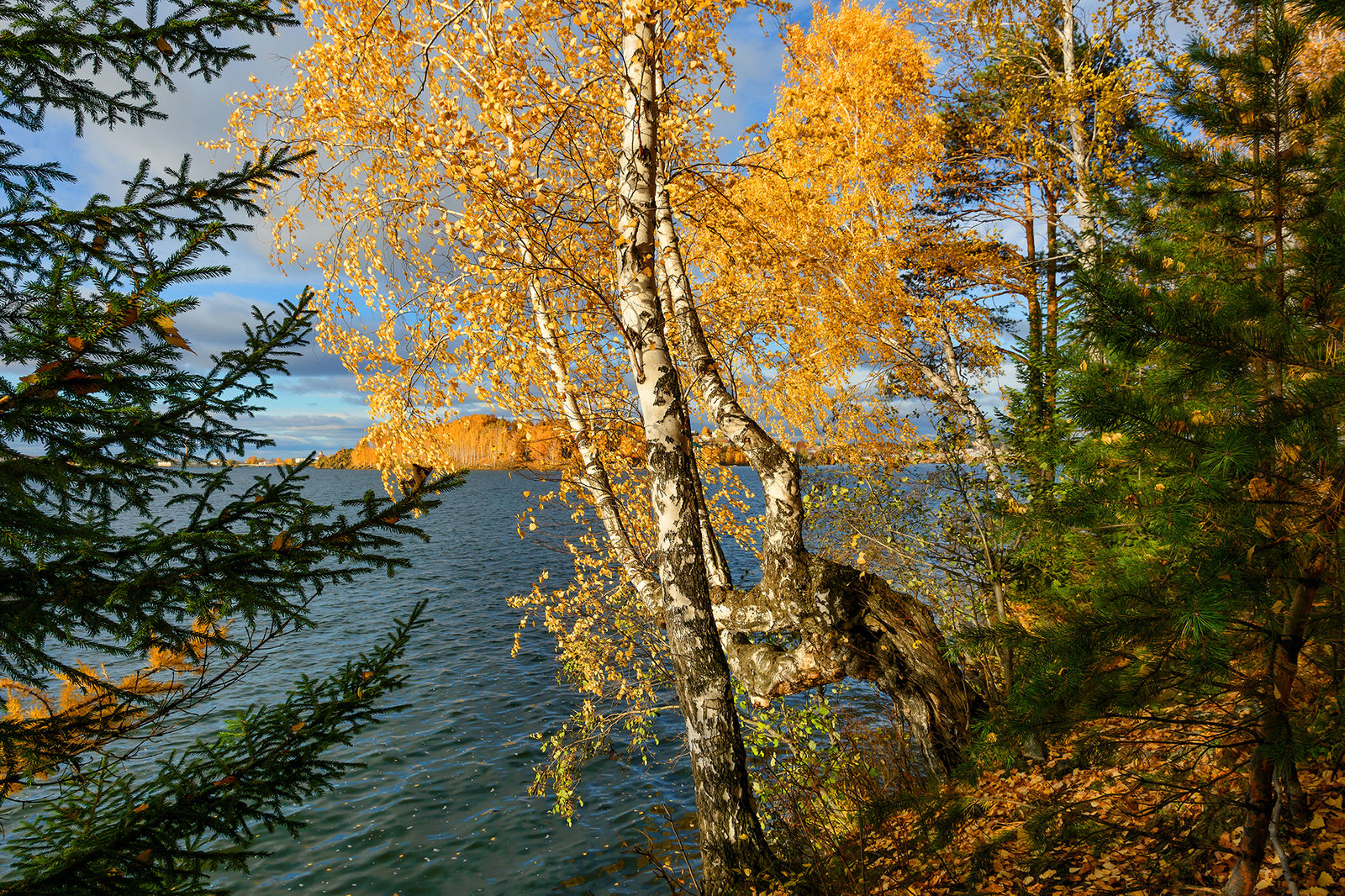 Осень На Берегу Моря Картинки